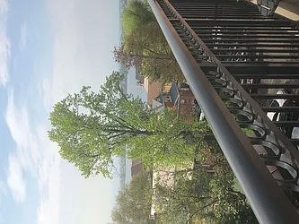 Sold by Guardian Group Realty