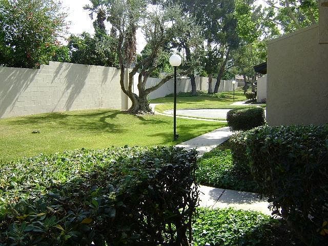 front view