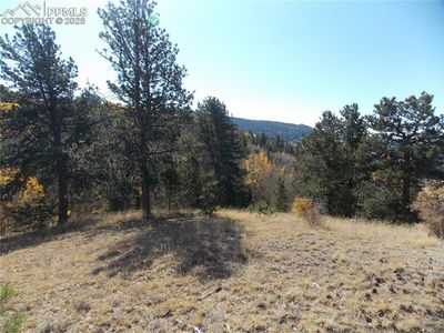 1944 May Queen Dr, Cripple Creek, CO, 80813
