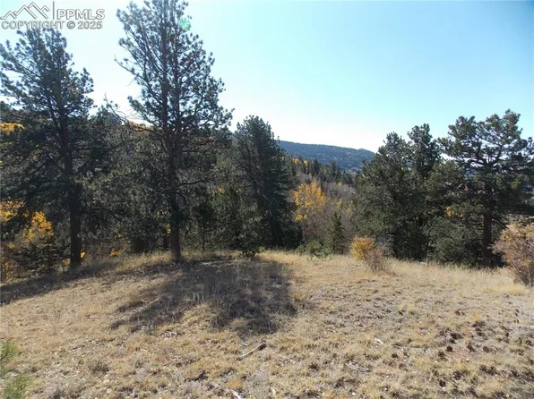 1944 May Queen Dr, Cripple Creek, CO 80813