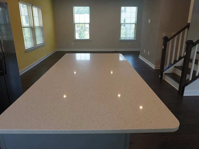4510 Joseph Bristow Ln — Photo 24