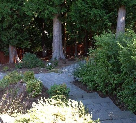 2nd image of 1449 224th Ave NE