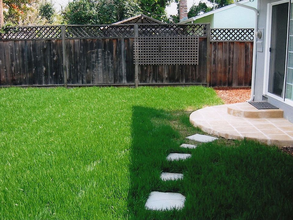 back yard 2005
