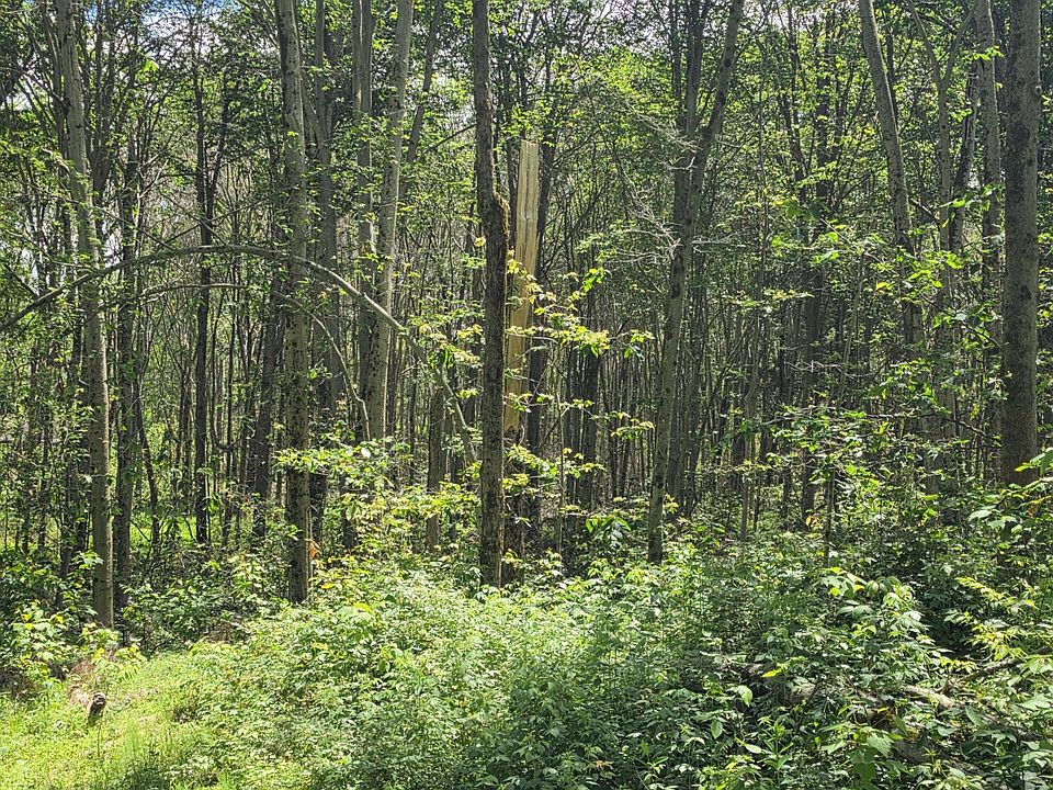 2nd image of LOT 2 Pioneer Trl