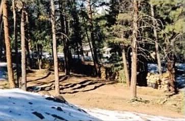 2nd image of 1241 Cinnamon Bear Rd