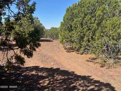 2 Stanford Dr, Vernon, AZ, 85940