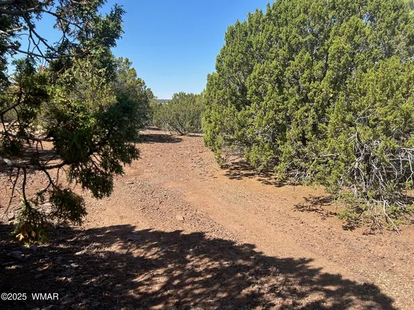 2 Stanford Dr, Vernon, AZ 85940