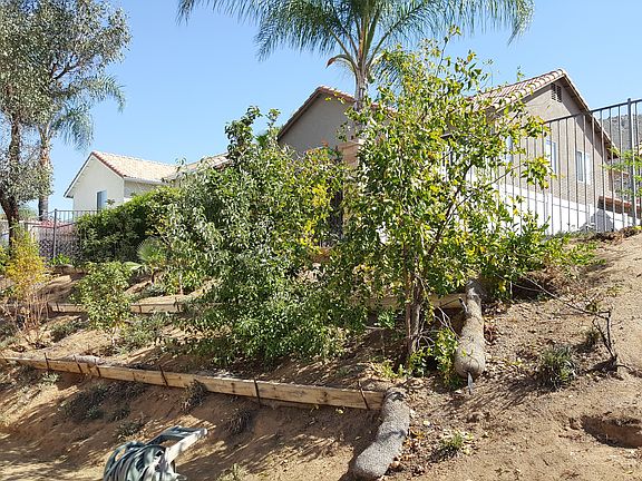 4th image of 15033 Pine Valley Cir