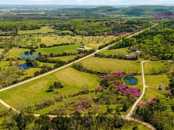 Mulberry Ln, Eureka Springs, AR 72631