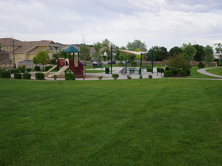 Playground Common Area