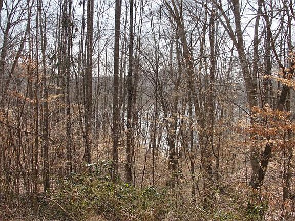 3rd image of Norris Shores Dr