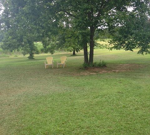 Part of the back yard