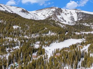 39 Lake Rd, Idaho Springs, CO 80452