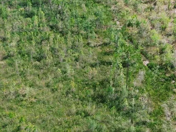0 Highway 204, Ellabell, GA 31308