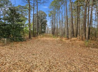 0 E Fayetteville St LOT 10006002, Micro, NC 27555