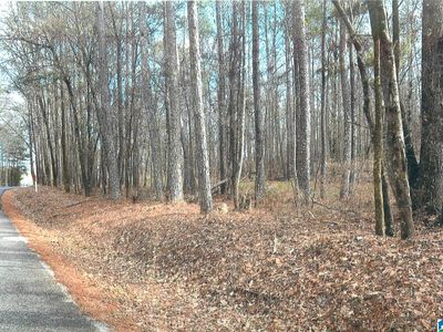 0 Walkers Crossing Rd #0, Pell City, AL, 35128