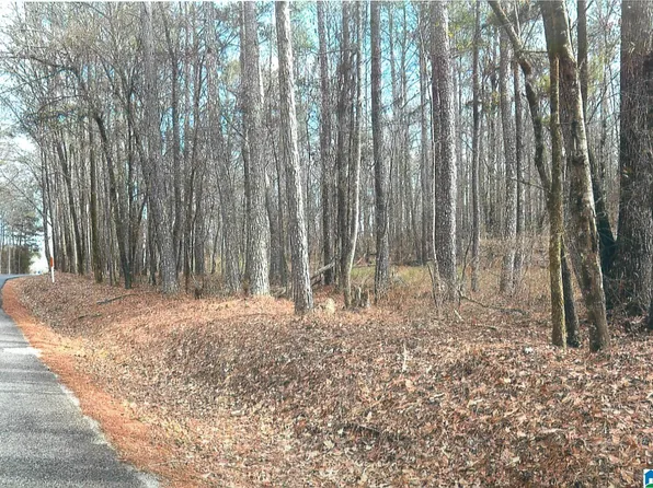 0 Walkers Crossing Rd #0, Pell City, AL 35128