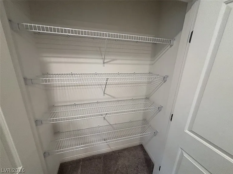 7008 Dandelion Park Ave — Photo 67