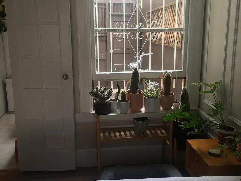 2455 Union St #102 — Photo 6