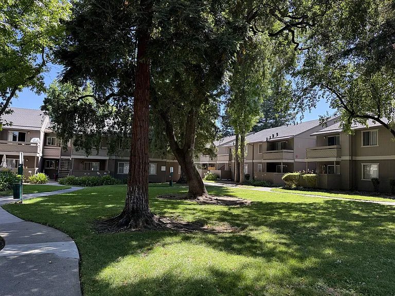 Shasta Terrace — Photo 20