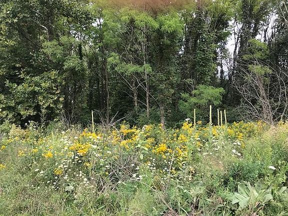 2nd image of 0 County Road 93