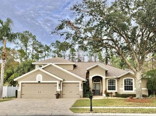 16754 Ivy Lake Dr, Odessa, FL 33556