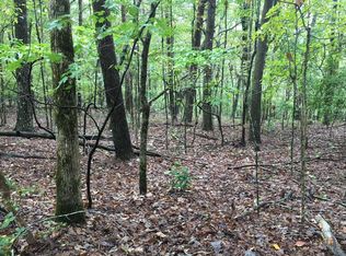 2LOT S Maple Dr, Jasper, GA 30143