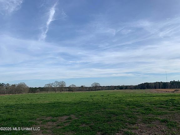 4th image of 79 Adron Boyd Rd