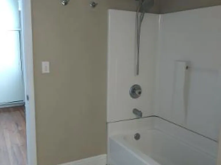 Master Bathroom Tub/Shower