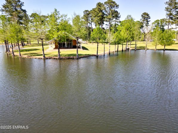 4074 Pleasant Ridge Rd, Hickory, MS 39332