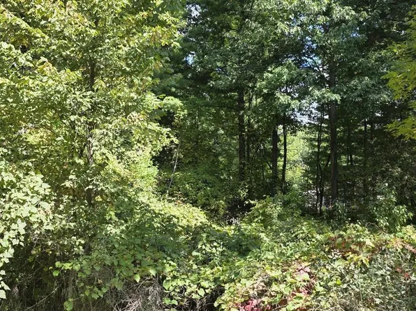 47 Shearer Rd Lot 48, Gladwin, MI 48624