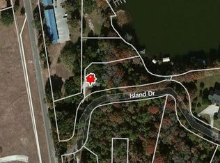 101 Island Dr, Howey In The Hills, FL 34737