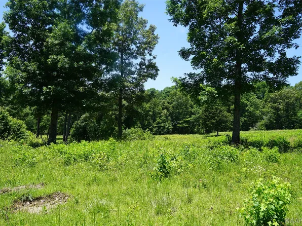 150 Lindsey Rd, Eclectic, AL 36024