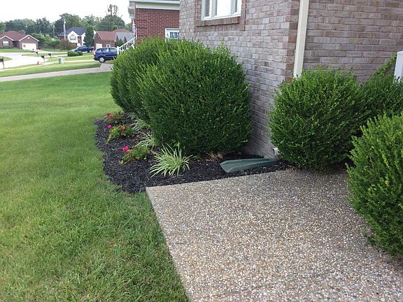3rd image of 152 Wilchar Blvd