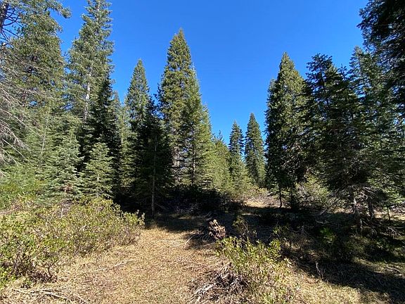 2nd image of 3-E-7 Mount Shasta Dr