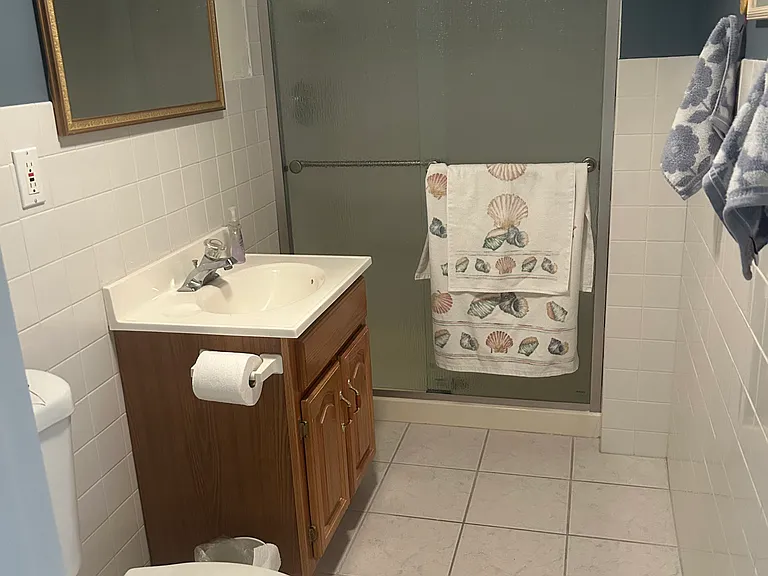 Downstairs bathroom