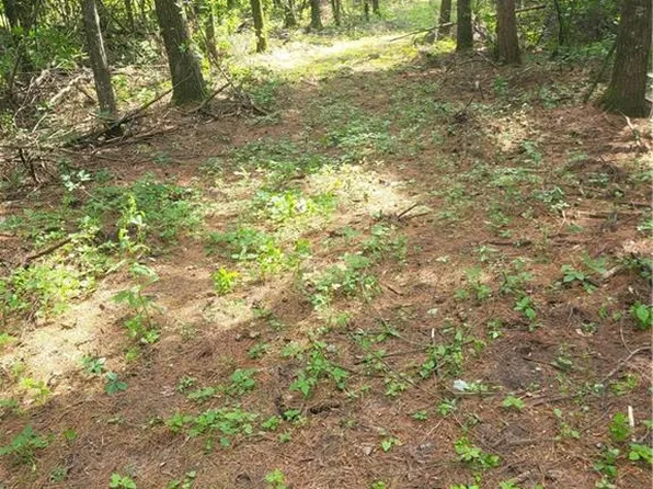 Lot 4 Betty Lane, Black River Falls, WI 54615