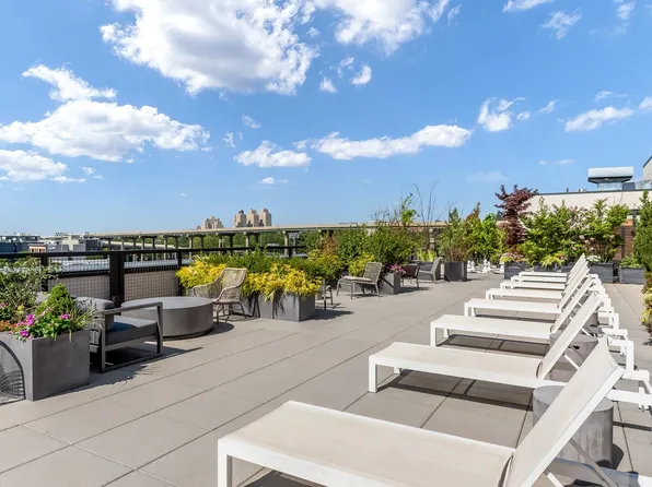 255 Brunswick Street image 5 of 31