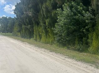 34 N Maple St, Fellsmere, FL 32948