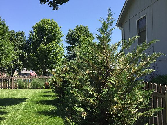5th image of 701 NE Bryant Dr