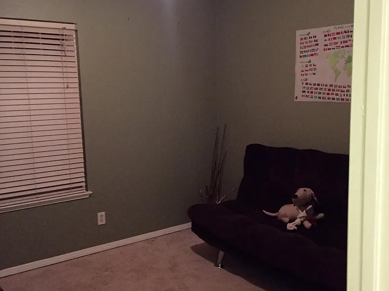 9252 Premier Way — Photo 13