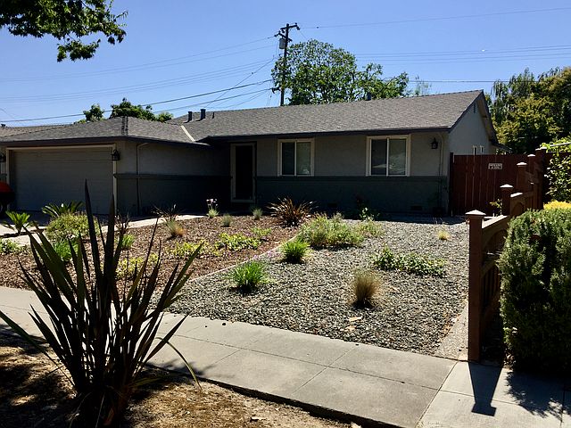 Drought-resistant, low maint