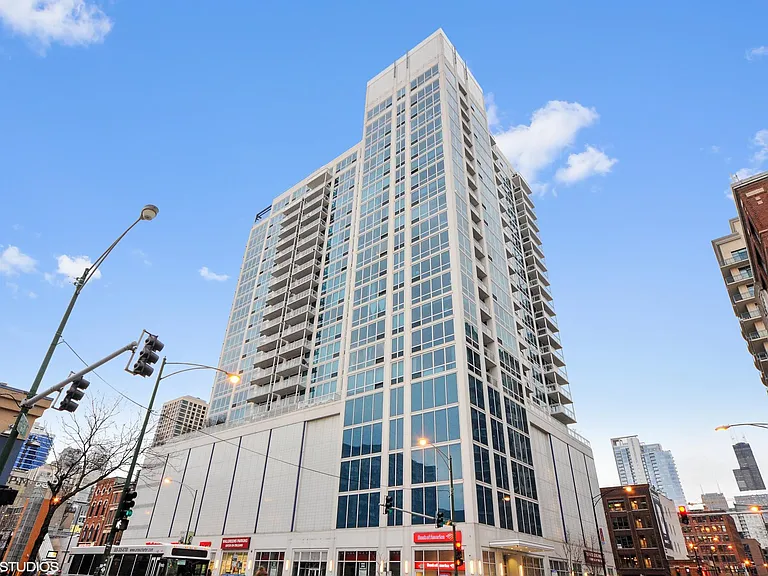 757 N Orleans St #1103 — Photo 11