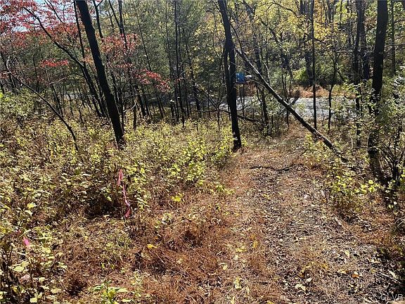 5th image of Hillcrest Cir Lot 10
