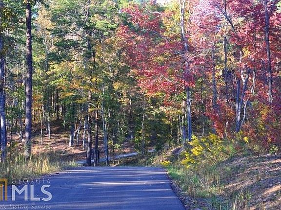 2nd image of 0 The Woods Lot 1