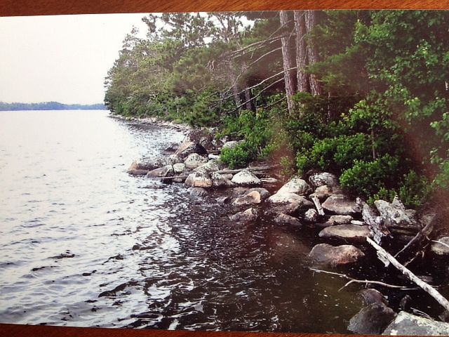 1st image of Tbd Winchester Lake