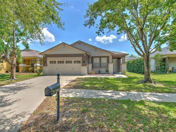 11136 Running Pine Dr, Riverview, FL 33569