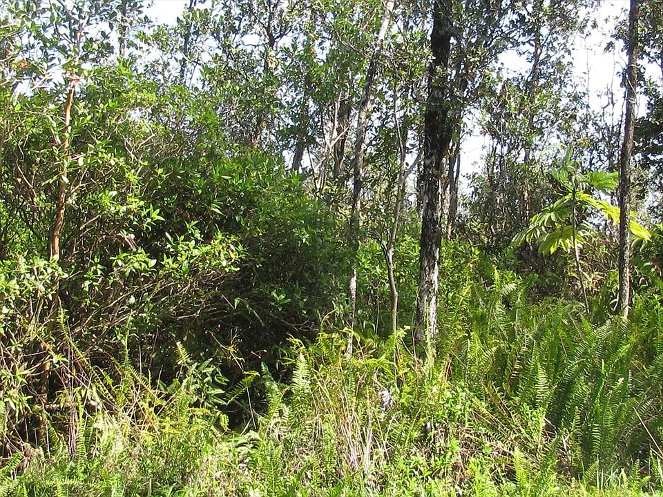 2nd image of 39th Ave Lot 3
