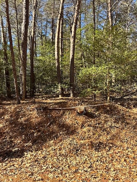 1st image of 62 Knights Landing Dr