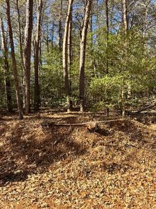 62 Knights Landing Dr, Heathsville, VA, 22473